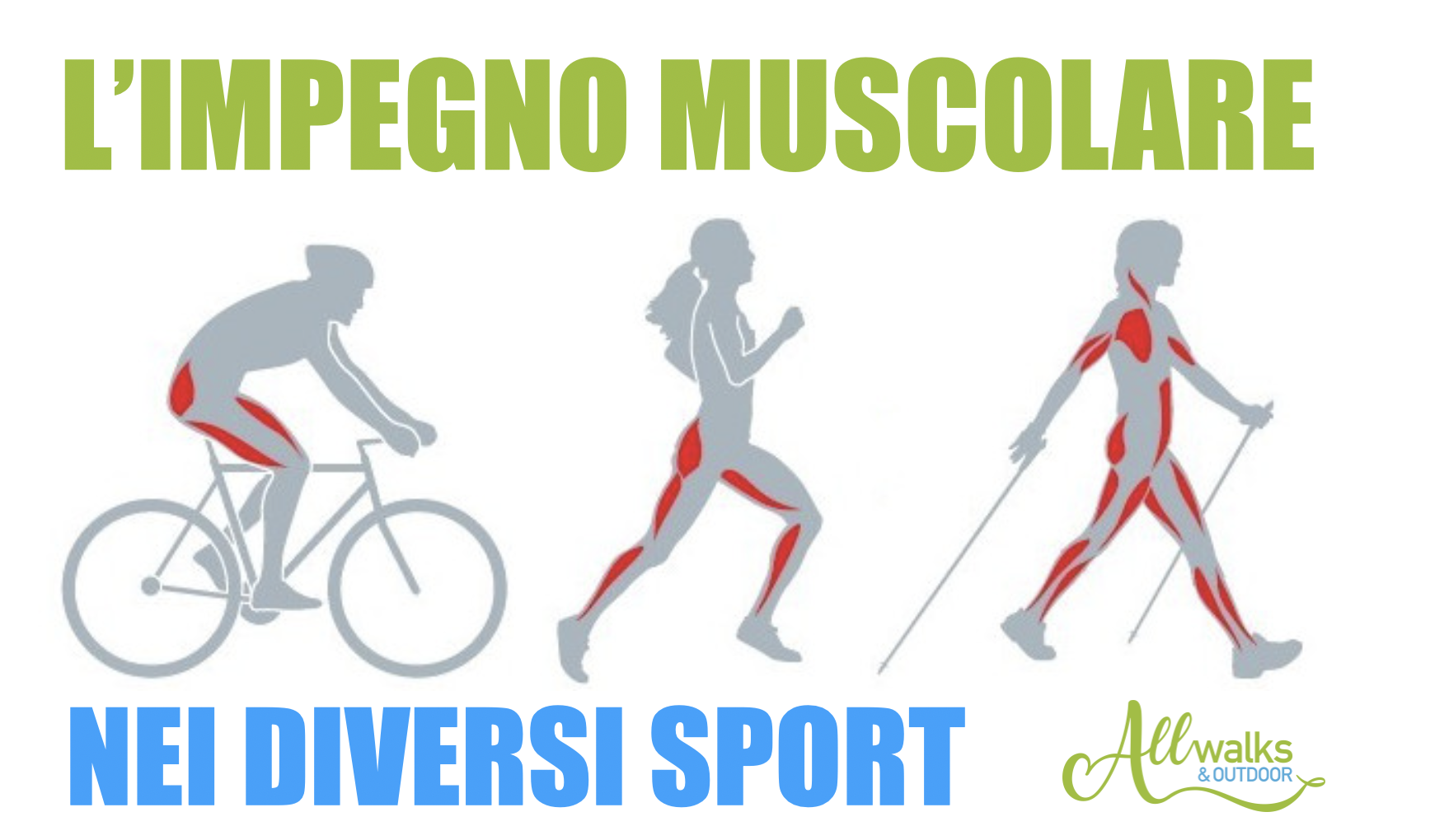 impegno muscola nordic walking impegno muscolare